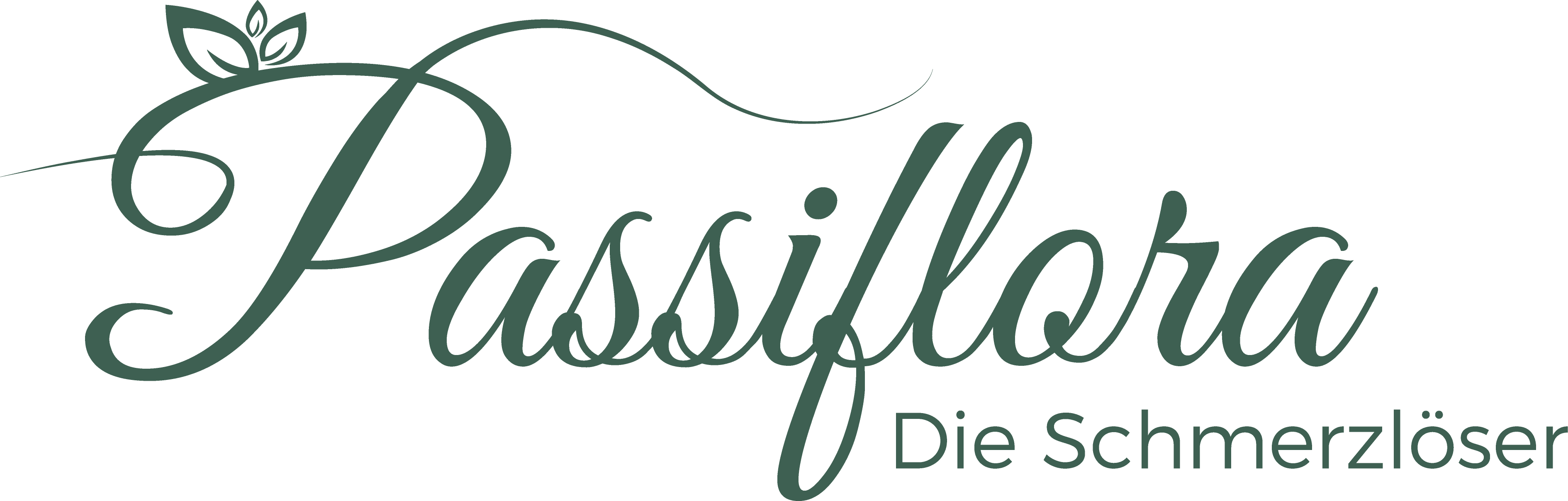 Passiflora Gesundheit & Therapie GmbH