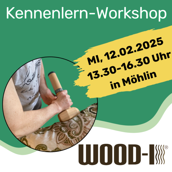 Wood-i® Kennenlern Workshop in Möhlin