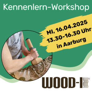 Wood-i® Kennenlern Workshop in Aarburg