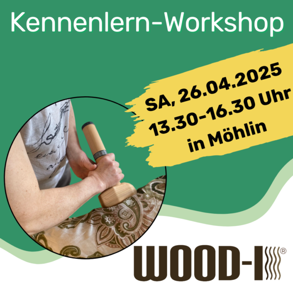 Wood-i® Kennenlern Workshop in Möhlin